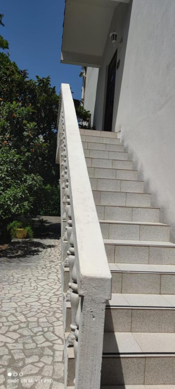 House Irena Otel Budva Dış mekan fotoğraf