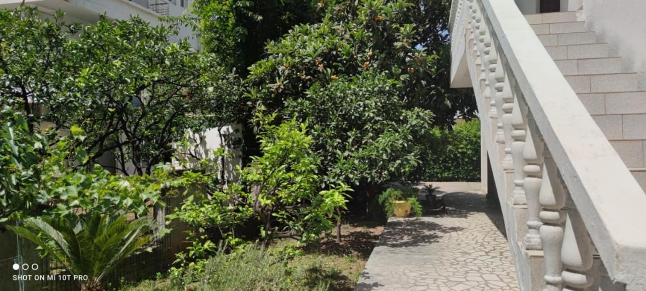 House Irena Otel Budva Dış mekan fotoğraf