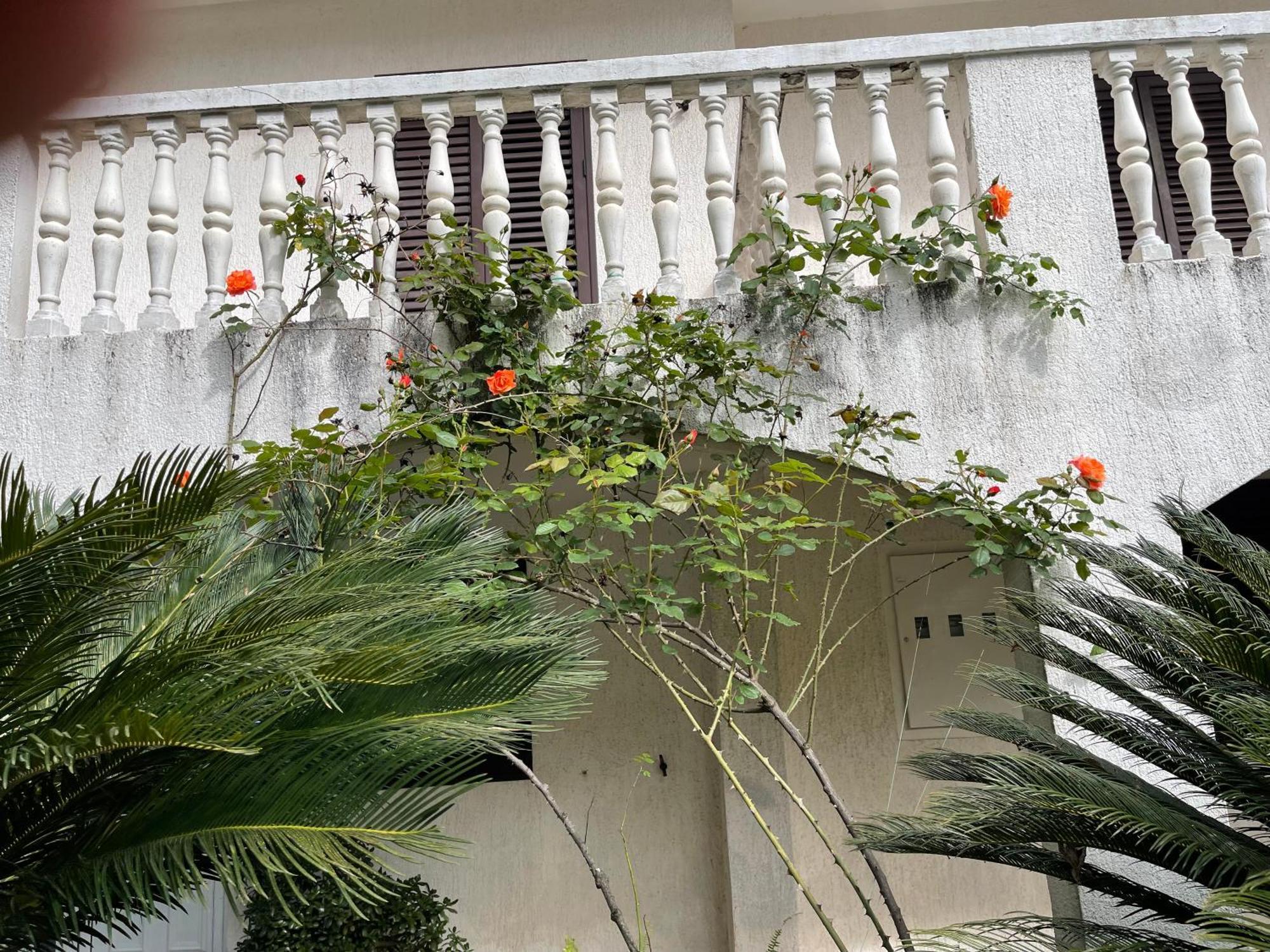 House Irena Otel Budva Dış mekan fotoğraf
